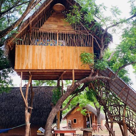 Yala Village Eco Tree House Тиссамахарама Экстерьер фото