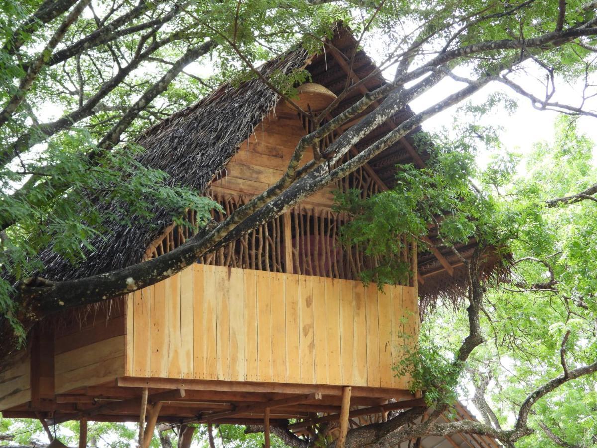 Yala Village Eco Tree House Тиссамахарама Экстерьер фото