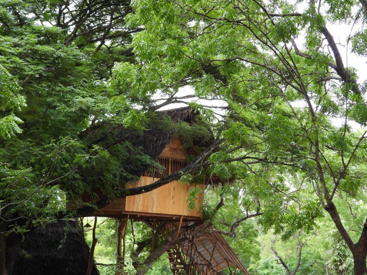 Yala Village Eco Tree House Тиссамахарама Экстерьер фото