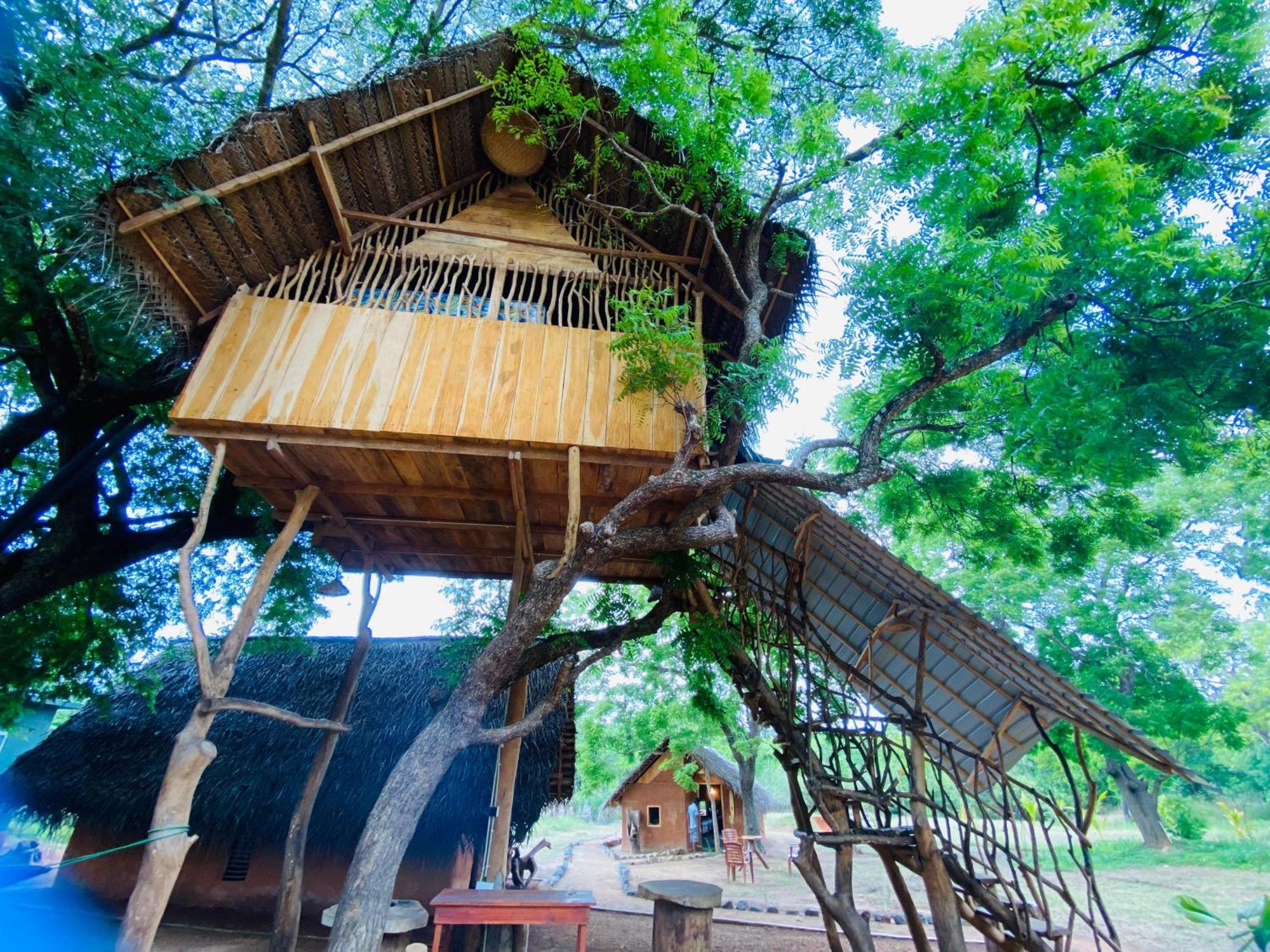 Yala Village Eco Tree House Тиссамахарама Экстерьер фото