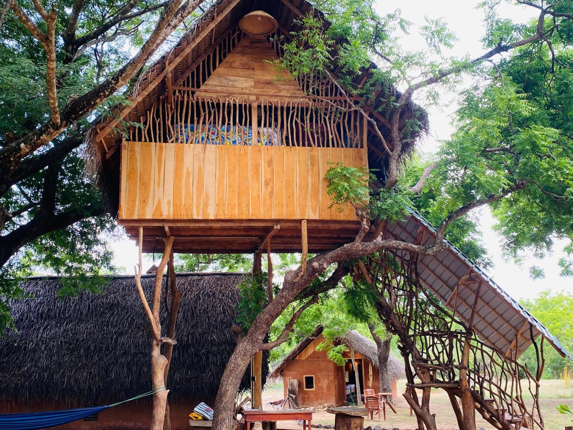 Yala Village Eco Tree House Тиссамахарама Экстерьер фото