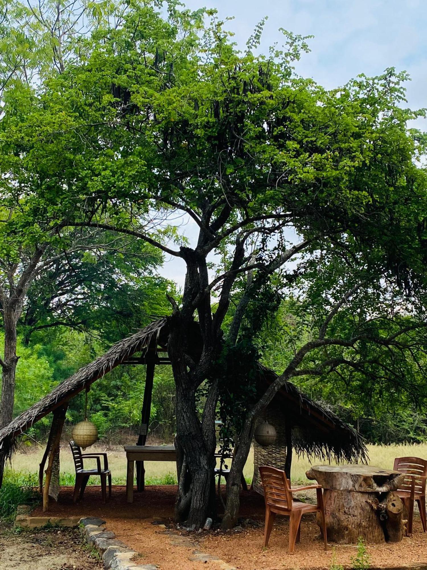 Yala Village Eco Tree House Тиссамахарама Экстерьер фото