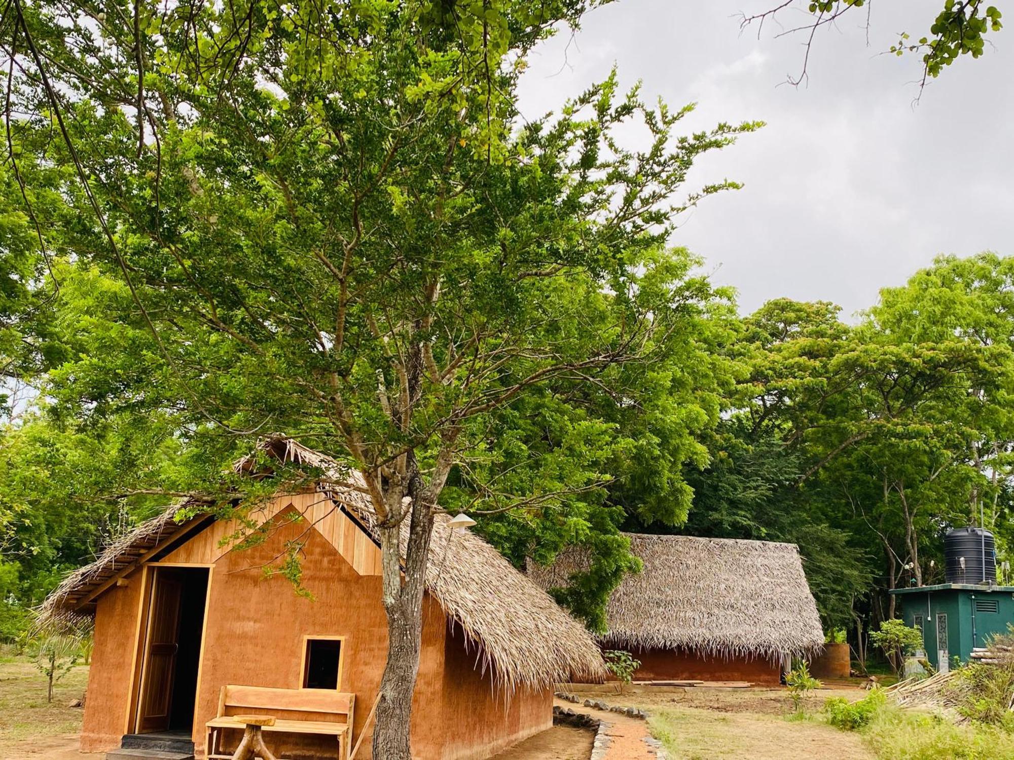 Yala Village Eco Tree House Тиссамахарама Экстерьер фото